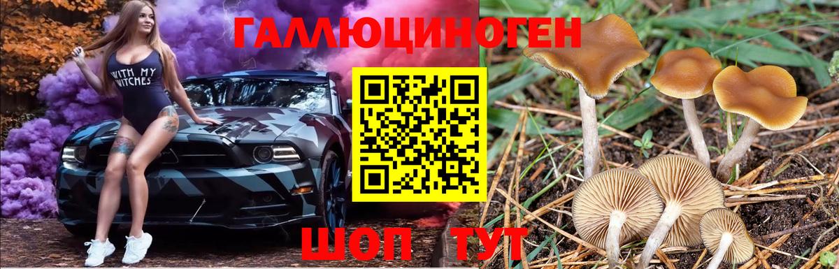 Псилоцибиновые грибы Magic Shrooms  Галлюциногенные грибы прущие грибы  Удомля  Вход с VPN 